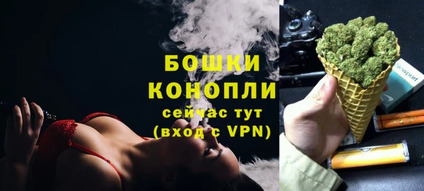 сатива Приозерск