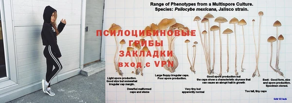 a pvp Володарск