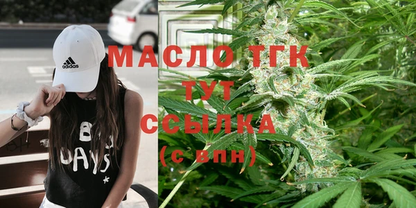 сатива Волоколамск
