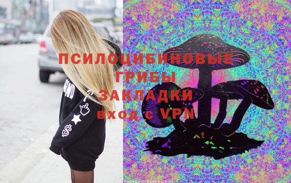 сатива Волоколамск