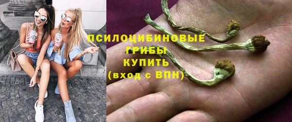 сатива Волоколамск
